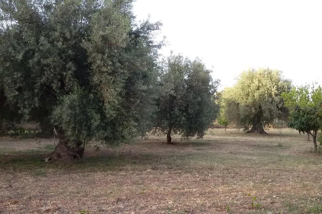 Dimore Del Carrubo - Loft Ad Avola Marina d'Avola 0*,